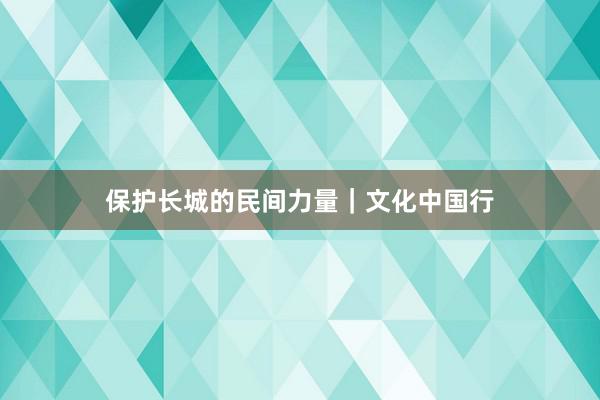 保护长城的民间力量｜文化中国行