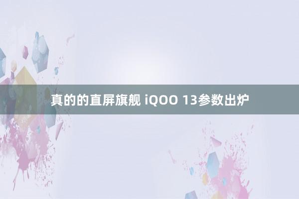 真的的直屏旗舰 iQOO 13参数出炉