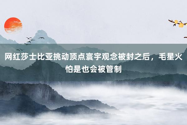 网红莎士比亚挑动顶点寰宇观念被封之后，毛星火怕是也会被管制