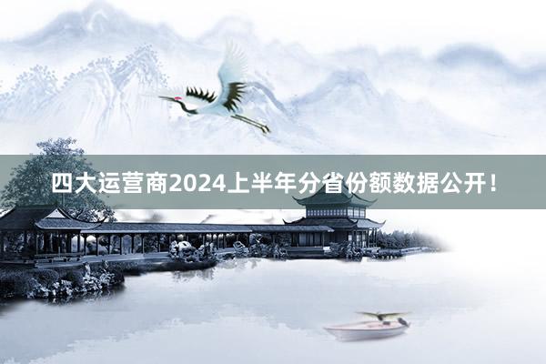 四大运营商2024上半年分省份额数据公开！