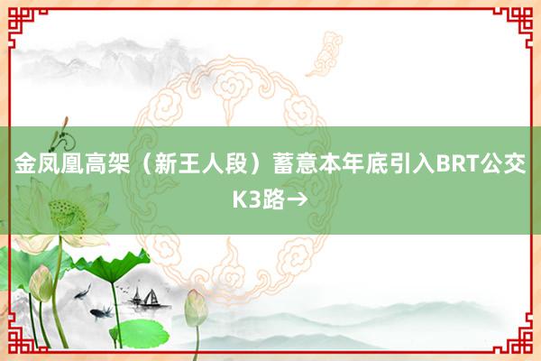 金凤凰高架（新王人段）蓄意本年底引入BRT公交K3路→