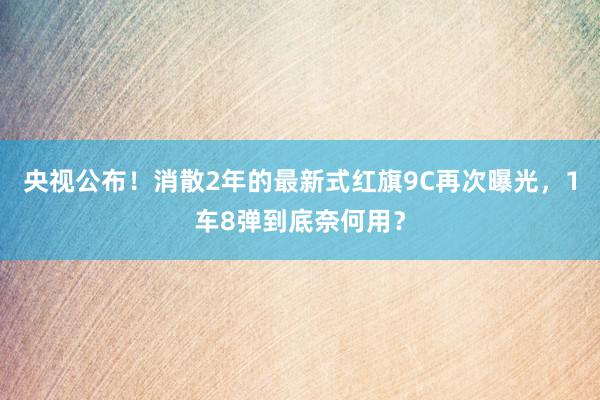 央视公布！消散2年的最新式红旗9C再次曝光，1车8弹到底奈何用？