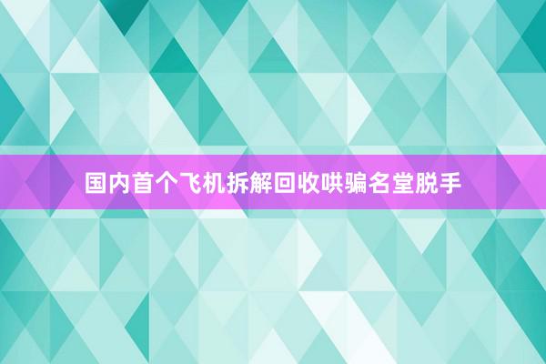 国内首个飞机拆解回收哄骗名堂脱手