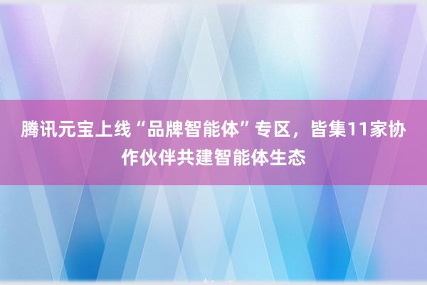 腾讯元宝上线“品牌智能体”专区，皆集11家协作伙伴共建智能体生态