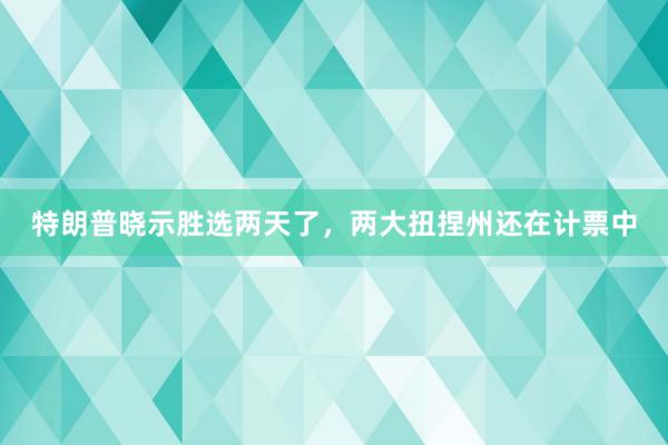 特朗普晓示胜选两天了，两大扭捏州还在计票中